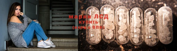 шишки Краснотурьинск