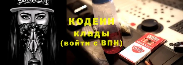 индика Кукмор