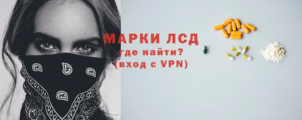 шишки Краснотурьинск