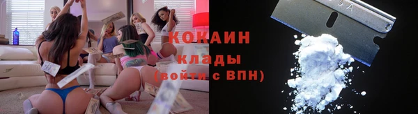 индика Кукмор