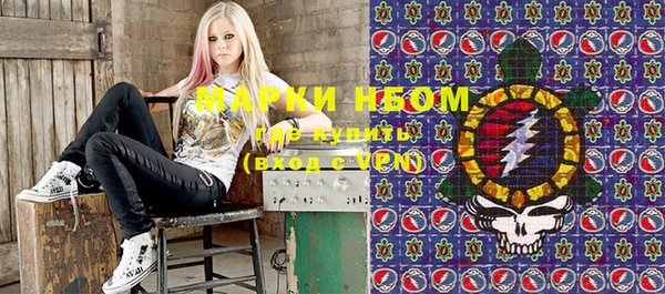 индика Кукмор