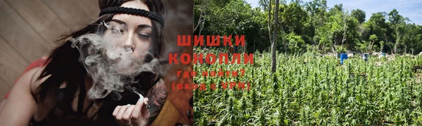 соль ск Козельск