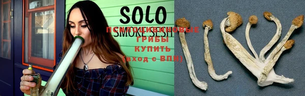 шишки Краснотурьинск
