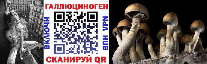 Псилоцибиновые грибы ЛСД  Купить где  Ейск 