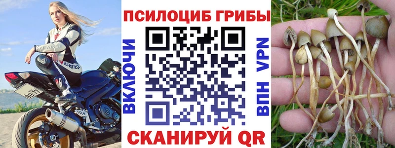 Псилоцибиновые грибы Magic Shrooms Ейск
